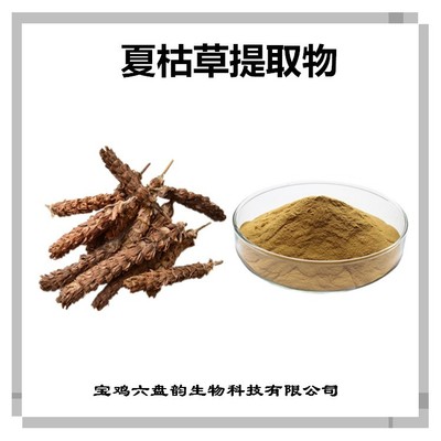 夏枯草提取物与龙眼 传统药食同源的碰撞与双重健康功效