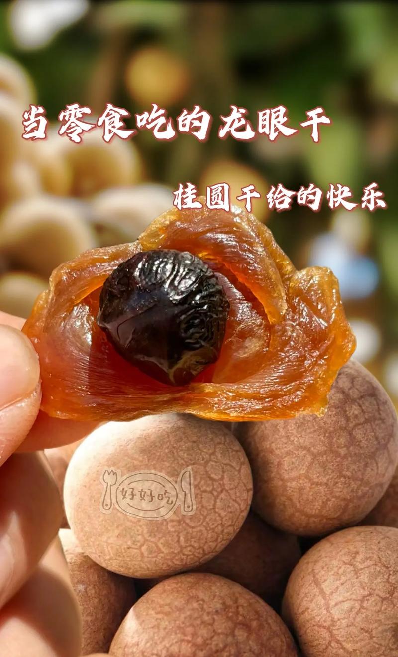 桂圆干的暖意 关于味道、记忆与传承的爱