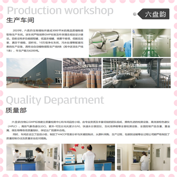 蔓越莓提取物 蔓越莓粉 固体饮料原料