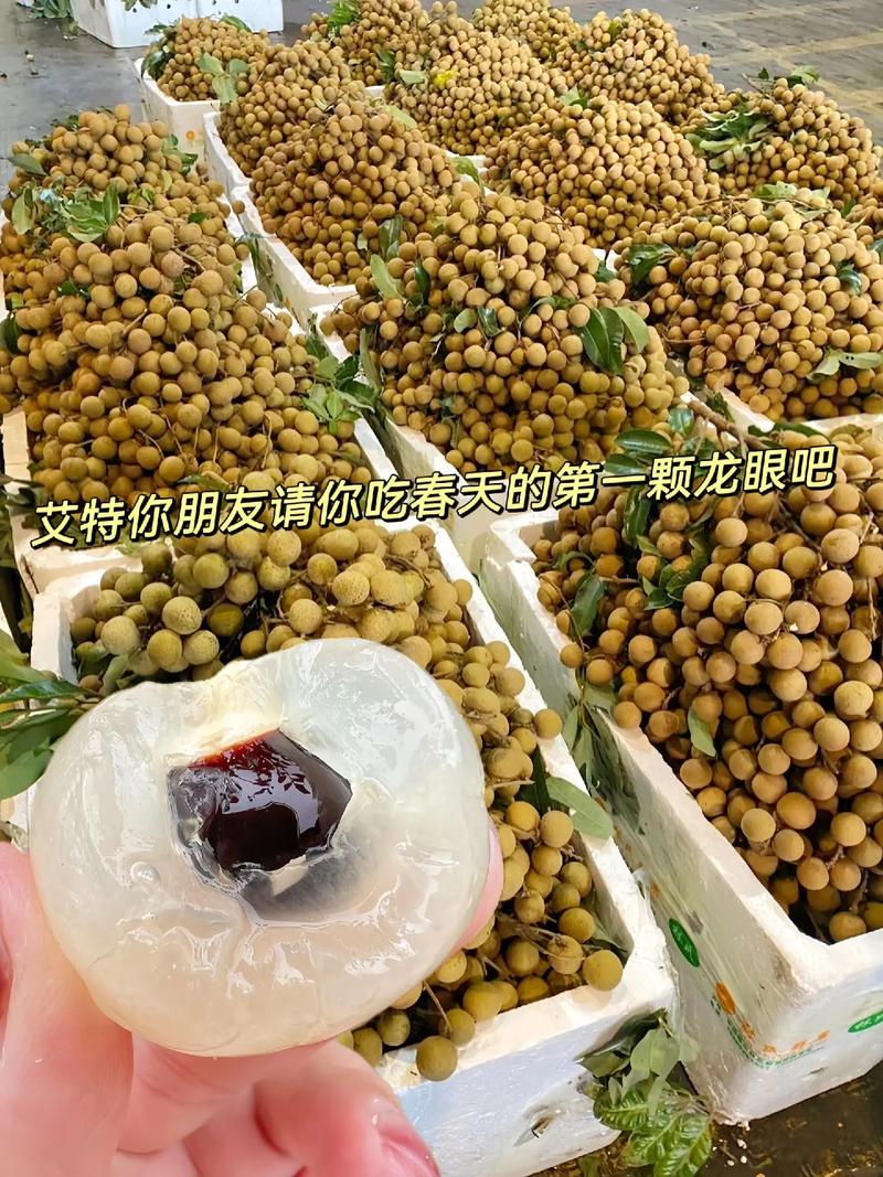 龙眼 #谁知道这是什么 #快来一起尝个鲜 #优质农产品. - 抖音